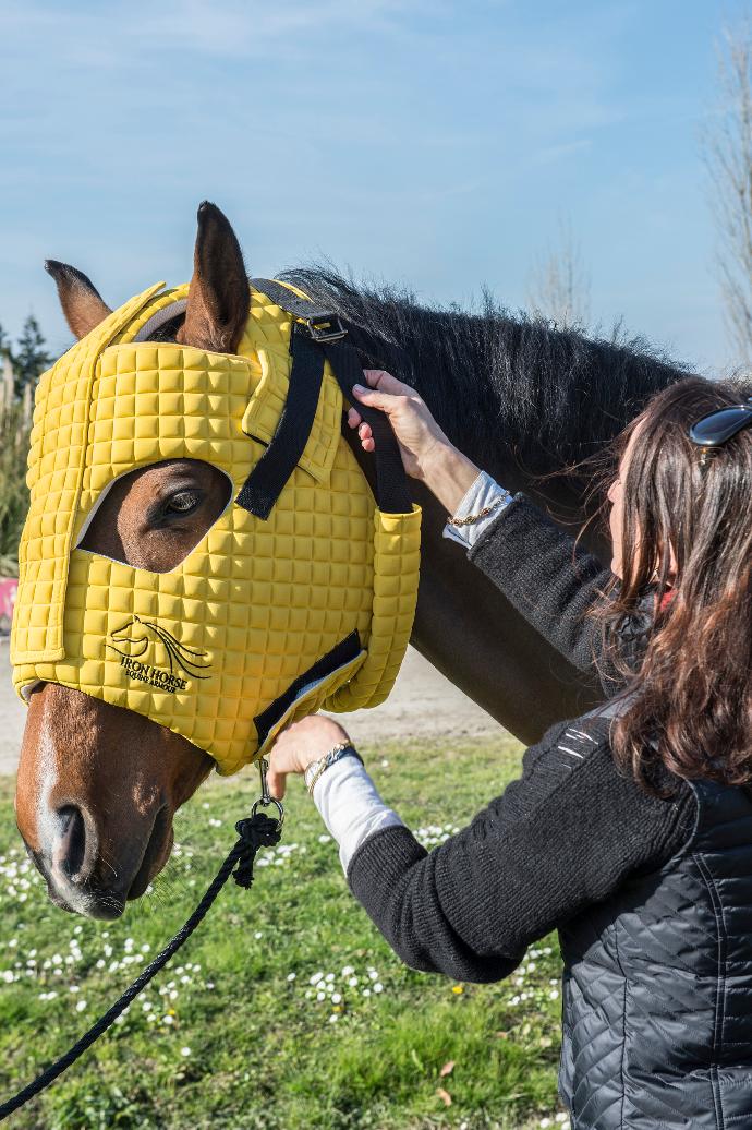 IronHorse Protective Armour Jelka